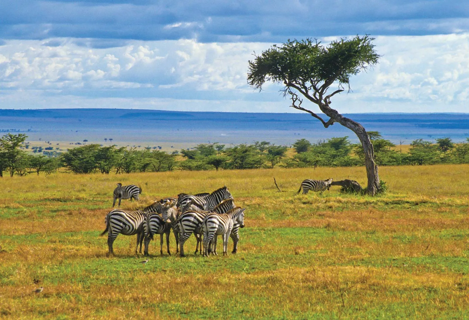 Kenya for a perfect holiday
