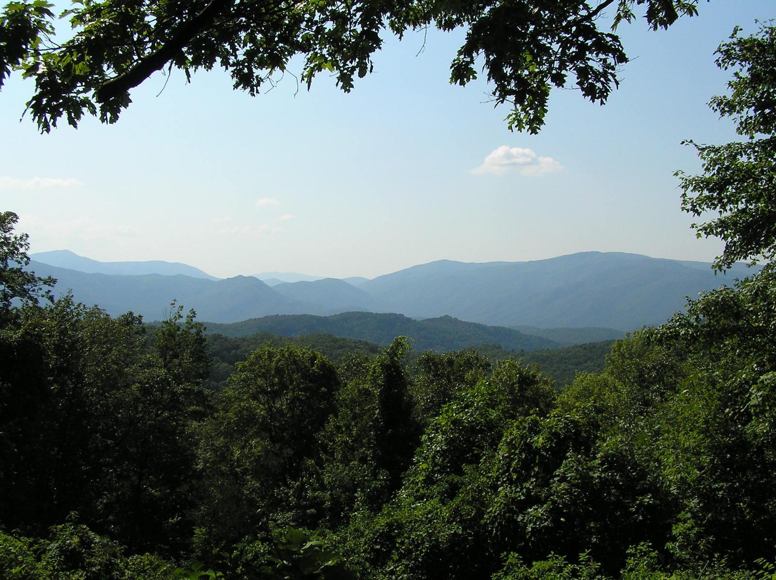 The Perfect Honeymoon in The Smoky Mountains